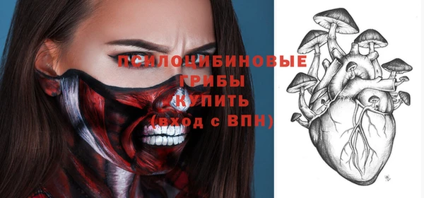 винт Надым