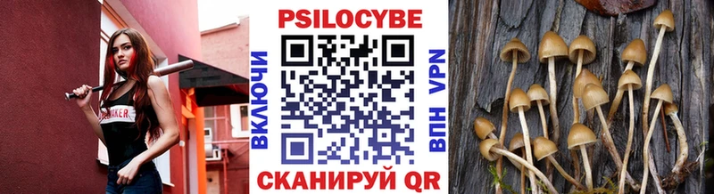 наркотики  Великий Новгород  Псилоцибиновые грибы мицелий 